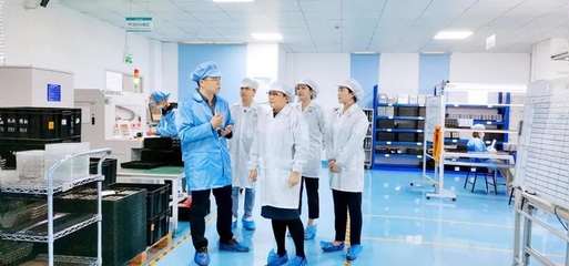 攜手共進，共創未來——深圳擔保集團蒞臨云里物里考察指導軟件開發工作